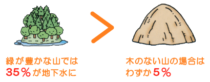 森林は緑のダムイメージ