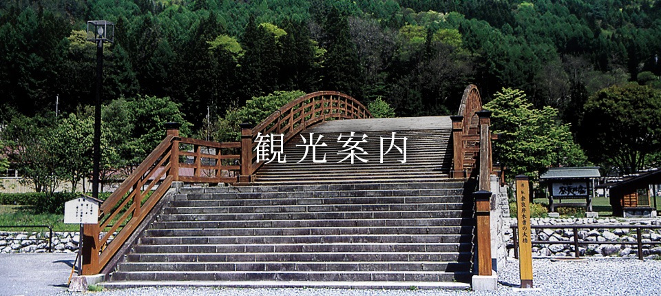 観光案内