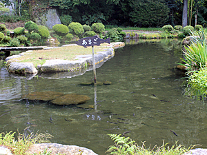 釣り堀