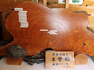 展示物