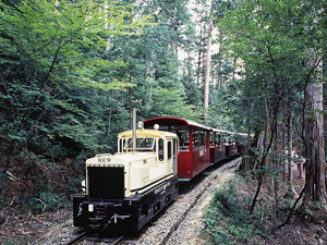 Forestry Railway