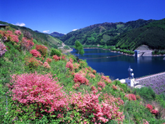 Okukiso Lake（Misokawa Dam）