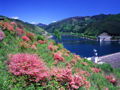 Okukiso Lake(Misokawa Dam)