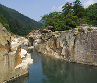 5.Nezame No Toko