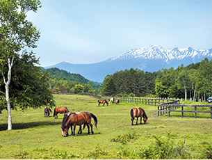 Kaida Plateau