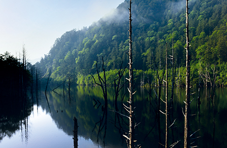 Lake Shizenko