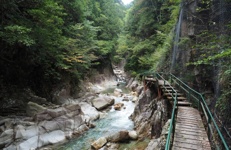 natural scenery