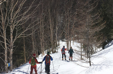 Snowshoe