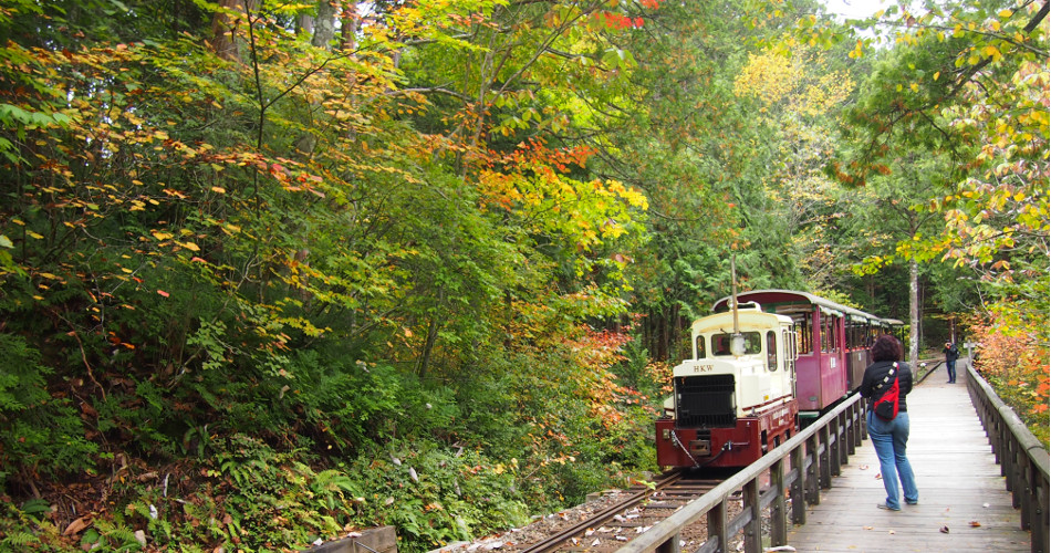akasawa forest