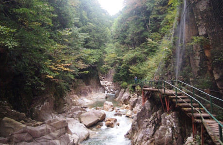 kakizore