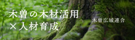 木材活用×人材育成