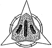 校章