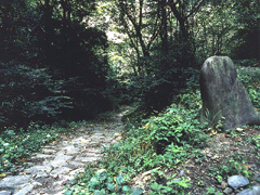鳥居峠