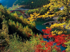 오쿠기소 호수(미소가와 댐) 奥木曽湖（味噌川ダム)