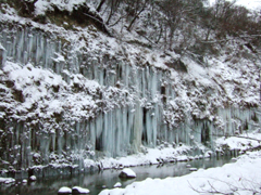 시라가와의 어름기둥 白川氷柱群