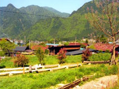 新田地区ホタル会