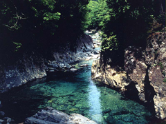 阿寺渓谷