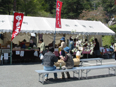 なぎそミツバツツジ祭り