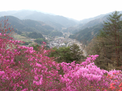 城山頂上からの妻籠宿