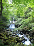 こもれびの滝