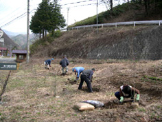 沿道の環境整備活動