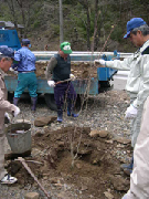 沿道の環境整備活動