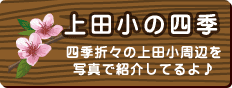 上田小の四季