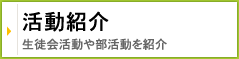 活動紹介