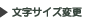 文字サイズ変更