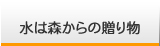 水は森からの贈り物