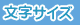 文字サイズ