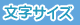 文字サイズ