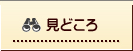 見どころ
