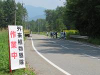 駆除作業
