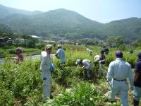 駆除作業中