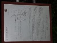 中山道視察研修会