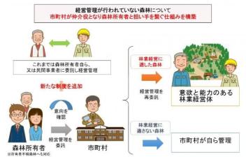 経営管理が行われていない森林について